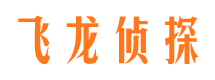 费县侦探